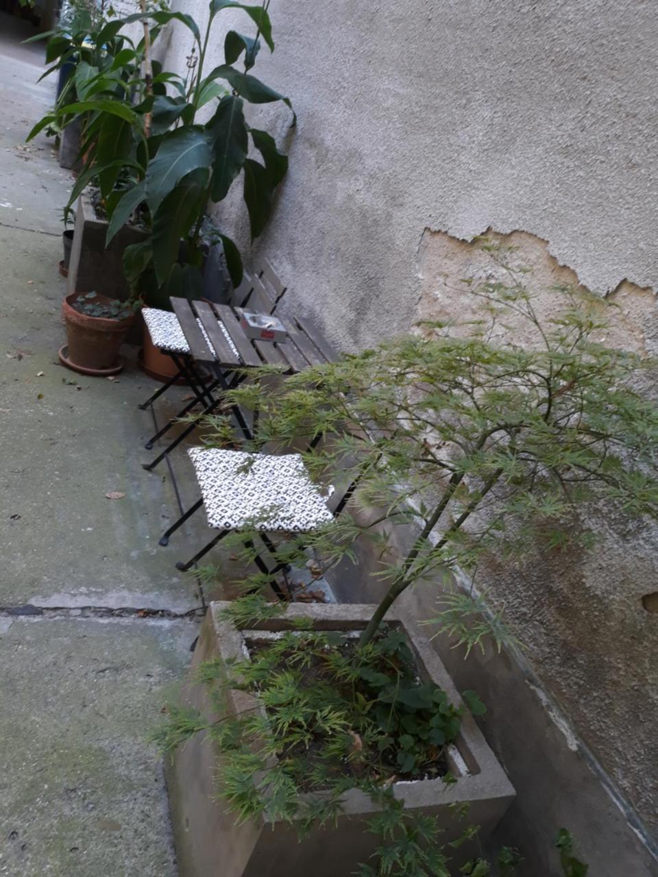 コネクション ゲストハウス ブダペスト エクステリア 写真
